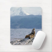 Tapis De Souris Otaries dans le canal de Beagle - Argentine (Avec souris)