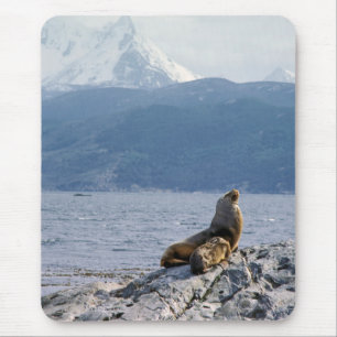 Tapis De Souris Otaries dans le canal de Beagle - Argentine