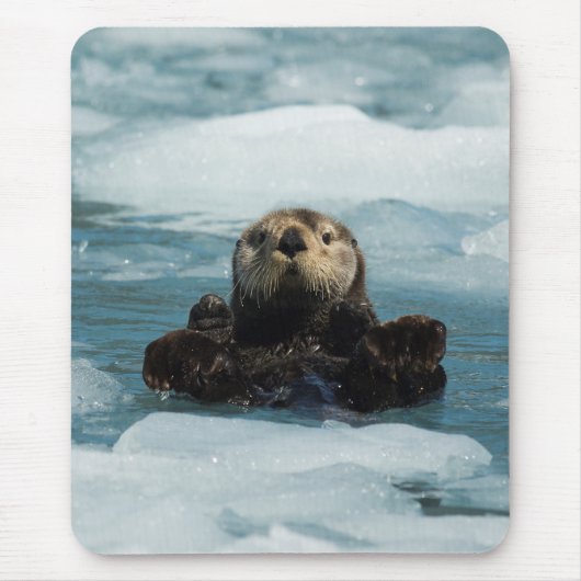 Tapis De Souris Otter flottante (Devant)