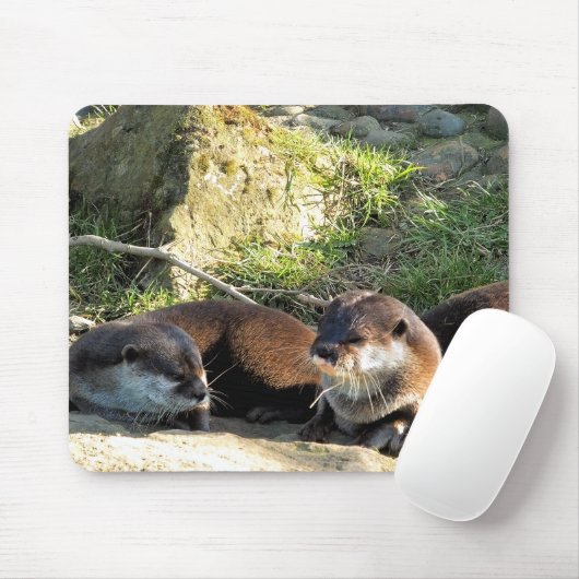 TAPIS DE SOURIS OTTERS (Avec souris)
