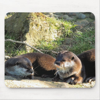 TAPIS DE SOURIS OTTERS