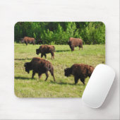 Tapis De Souris Où les bisons rôdent (Avec souris)
