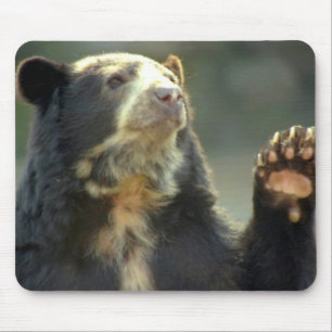 Tapis De Souris ours
