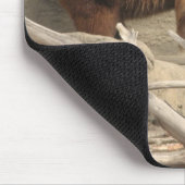 Tapis De Souris Ours (Coin)