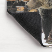 Tapis De Souris Ours (Coin)