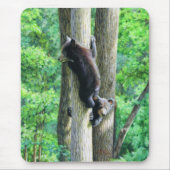 Tapis De Souris Ours (Devant)