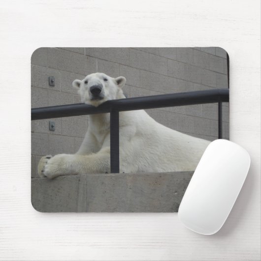Tapis De Souris Ours blanc (Avec souris)