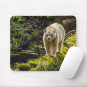 Tapis De Souris Ours blanc | Colombie-Britannique, Canada (Avec souris)