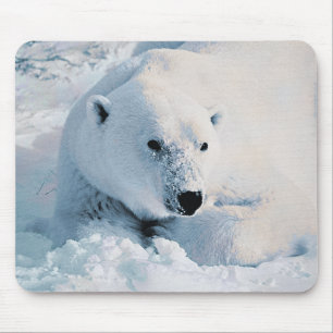 Tapis De Souris Ours blanc et neige Mousepad