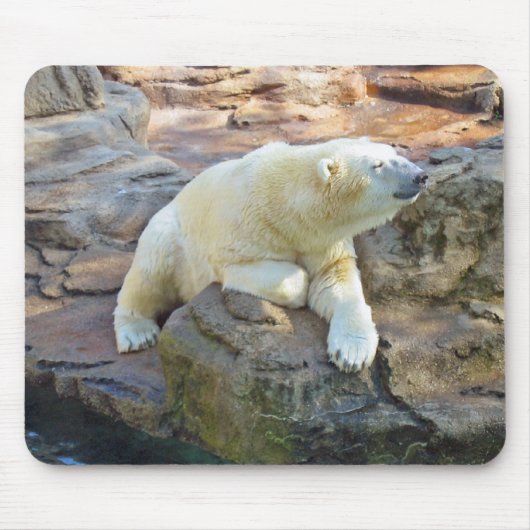 Tapis De Souris Ours blanc Mousepad (Devant)
