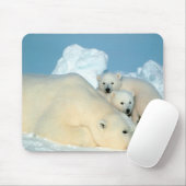 Tapis De Souris Ours blancs (Avec souris)