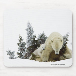 Tapis De Souris Ours blancs au parc national de Wapusk