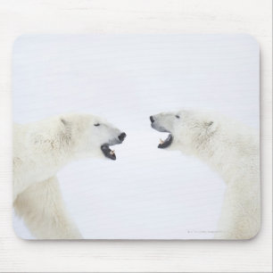 Tapis De Souris Ours blancs se tenant sur la neige après le jeu