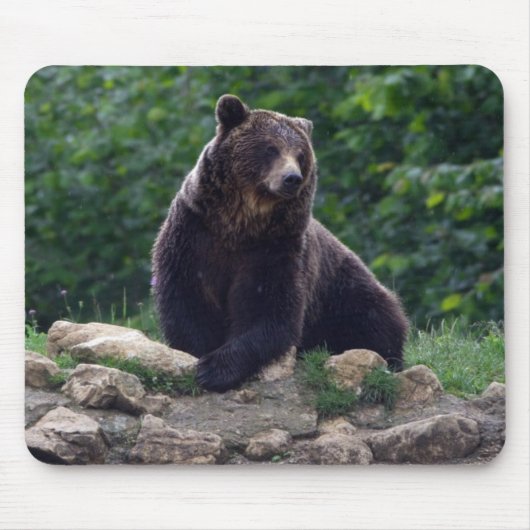 Tapis De Souris Ours Brown (Devant)