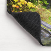 Tapis De Souris Ours Brown & Cube | Hyder, Alaska (Coin)