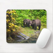 Tapis De Souris Ours Brown & Cube | Hyder, Alaska (Avec souris)