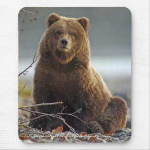 Tapis De Souris Ours Brown d'Alaska dans Kenai NWR
