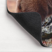 Tapis De Souris Ours Brown de Denali (Coin)