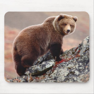 Tapis De Souris Ours Brown de Denali