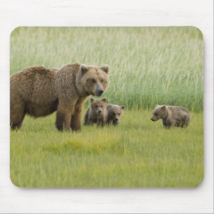 Tapis De Souris Ours Brown de l'Alaska et trois Cubs, Ursus
