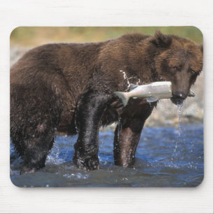 Tapis De Souris Ours brun, grizzly, avec prise de saumon,