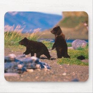 Tapis De Souris Ours brun, Ursus arctos, péninsule d'Alaska,