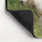 TAPIS DE SOURIS OURS DE KERMODE BLANC (ESPRIT) (Coin)