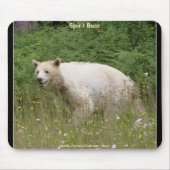TAPIS DE SOURIS OURS DE KERMODE BLANC (ESPRIT) (Devant)