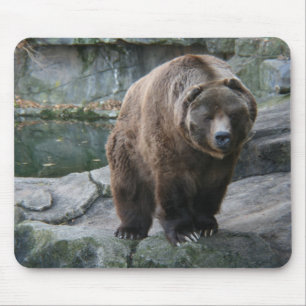 Tapis De Souris Ours de Kodiak Brown