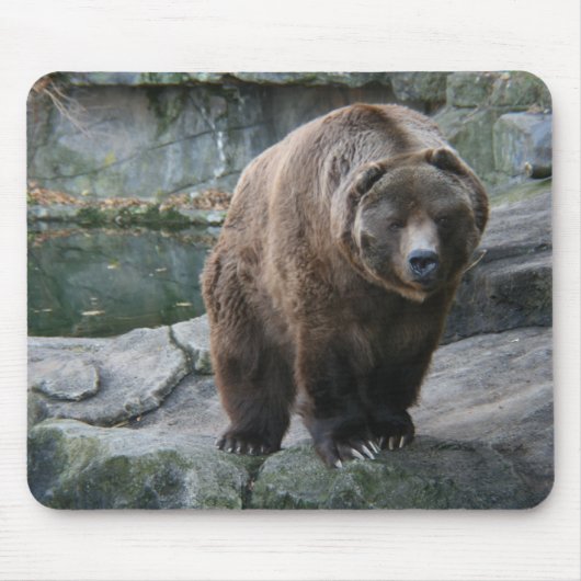 Tapis De Souris Ours de Kodiak Brown (Devant)