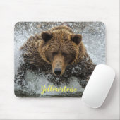 Tapis De Souris Ours de la souris (Avec souris)