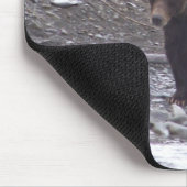 Tapis De Souris Ours de l'Alaska (Coin)