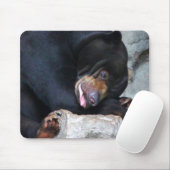 Tapis De Souris Ours endormi (Avec souris)
