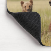 Tapis De Souris Ours gris avec CUB (Coin)