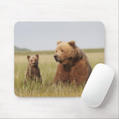 Tapis De Souris Ours gris avec CUB (Avec souris)