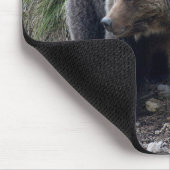 Tapis De Souris Ours gris avec CUB Mousepad (Coin)