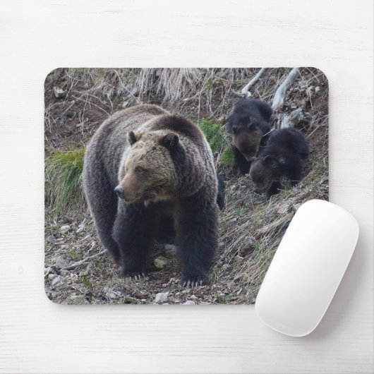 Tapis De Souris Ours gris avec CUB Mousepad (Avec souris)