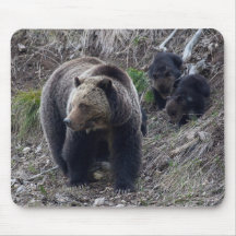 Ours gris avec CUB Mousepad