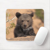 Tapis De Souris Ours gris CUB (Avec souris)
