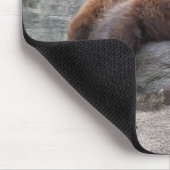 Tapis De Souris Ours gris se reposant sur la roche (Coin)
