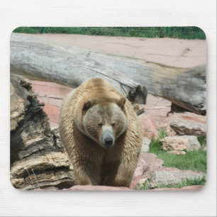Tapis De Souris Ours grizzlis de la Souris du Dakota du Sud