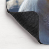 Tapis De Souris Ours Kermode Rare (Ours Esprit) Photo Faune (Coin)