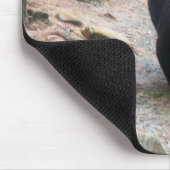 Tapis De Souris Ours noir américain (Coin)