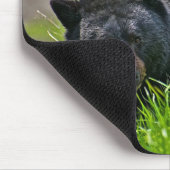 Tapis De Souris Ours noir de Protection-Yellowstone de souris (Coin)