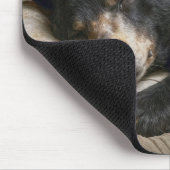 Tapis De Souris Ours noir dormant sous une couverture (Coin)