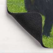 Tapis De Souris Ours noir sauvage et faune de l'herbe (Coin)