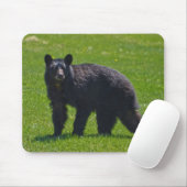 Tapis De Souris Ours noir sauvage et faune de l'herbe (Avec souris)