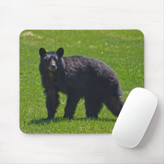 Tapis De Souris Ours noir sauvage et faune de l'herbe (Avec souris)