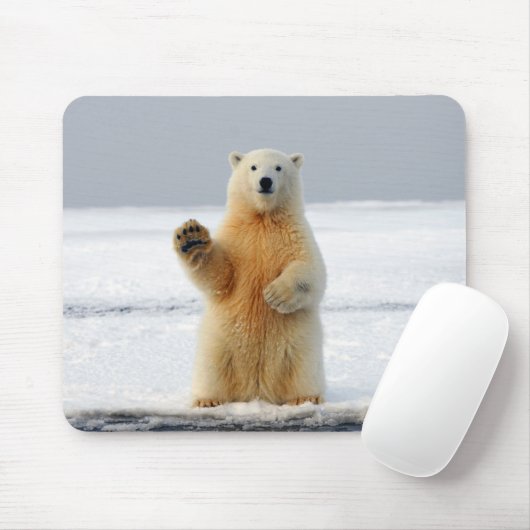 Tapis De Souris Ours polaire (Avec souris)