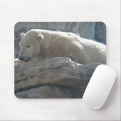 Tapis De Souris Ours polaire (Avec souris)